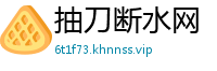 抽刀断水网